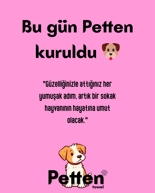 Bizim Günümüz :)